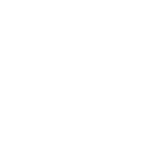 Bass